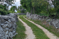 Medivida in Croatia