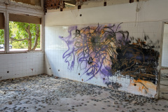 Deserted Facility Paintings