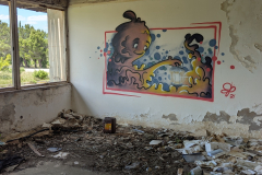 Deserted Facility Paintings