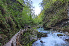 Vintgar Slovenia