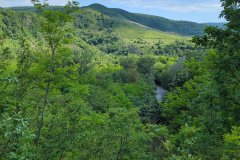 Sasca Montana Landscape