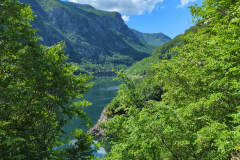 Sasca Montana Landscape