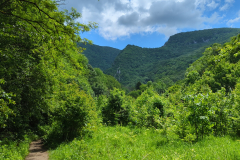 Sasca Montana Landscape