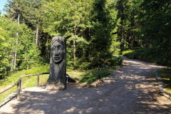 Entrance of the Forest