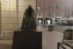 High Cloak of Conscience Anna Chromy Prague