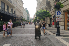 Policeman in Budapest