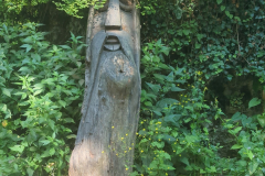 Wooden Sleepy Sage in the Forest