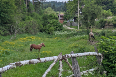 Koprivchtitsa