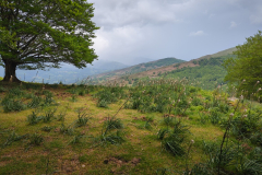 Baztán Valley large view