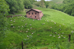 Countryside