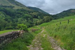 Countryside