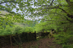 Countryside