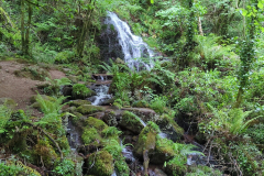 Waterfall in the forest
