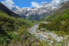 Pyrenees