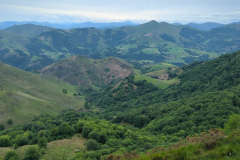 Hautza