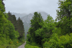 Isaba - Mountains in the mist