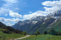 Pyrenees Large view