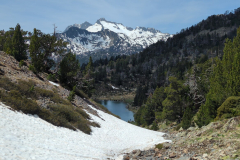 Pyrenees