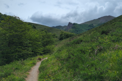 Forestwalk Pyrenees Basques