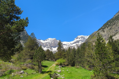 Barrosa Valley Pyrenees