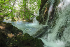 Krka Manojlovački Waterfalls