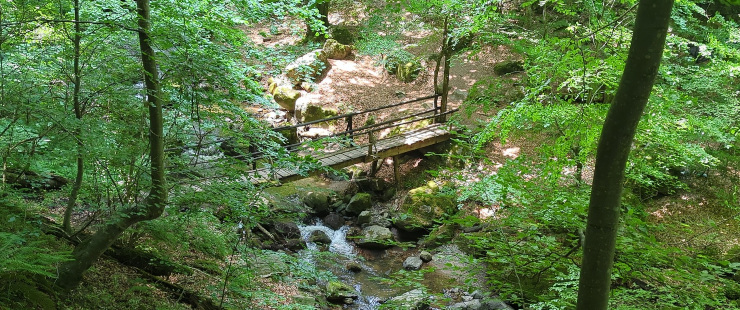Bridge to Goritsa Waterfall Bulgaria